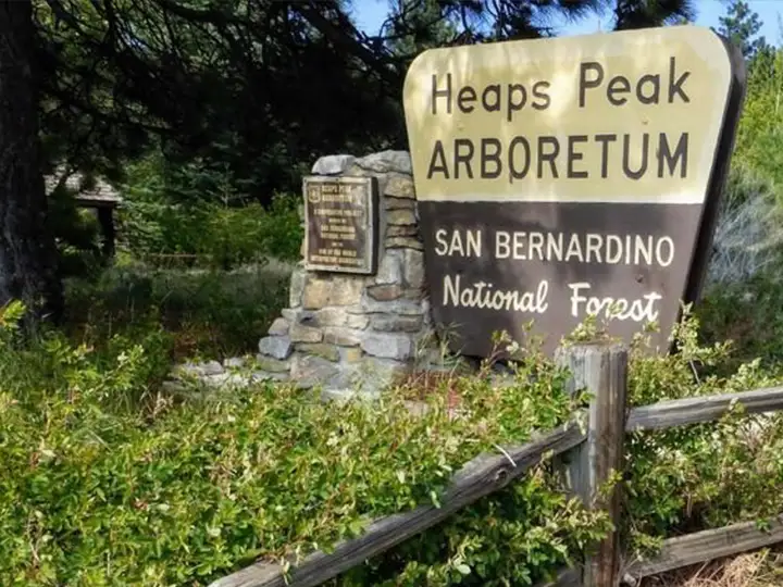 Heaps Peak Arboretum Day Use Area - Skyforest, California