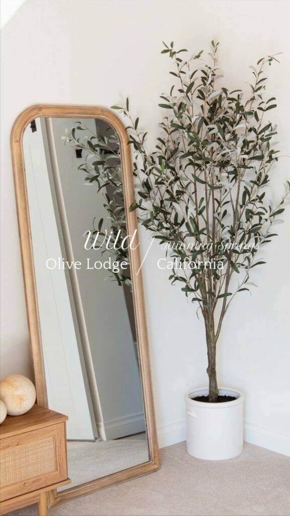 Running Springs Cabins and Vacation Rentals Wild Olive Cabins