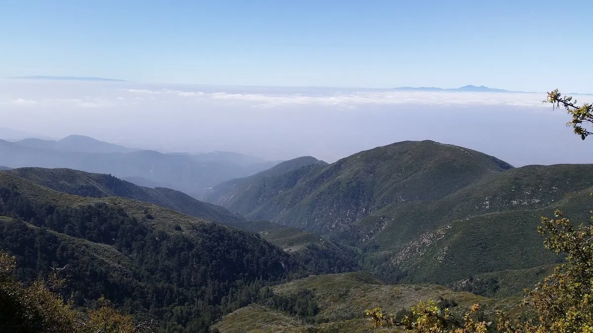 SkyForest California View