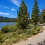 The Alpine Pedal Path
