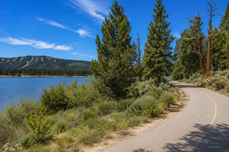 The Alpine Pedal Path