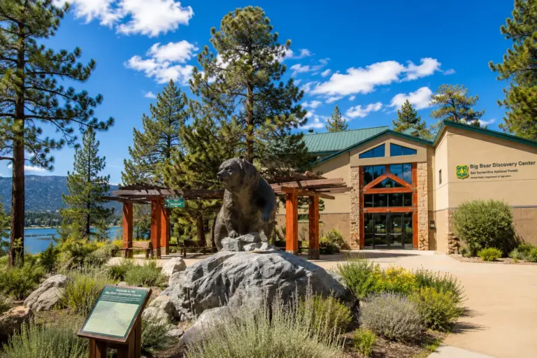 big bear discovery center